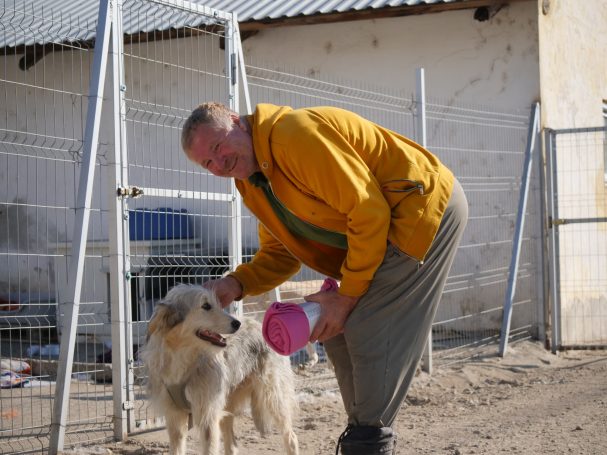 Mihai